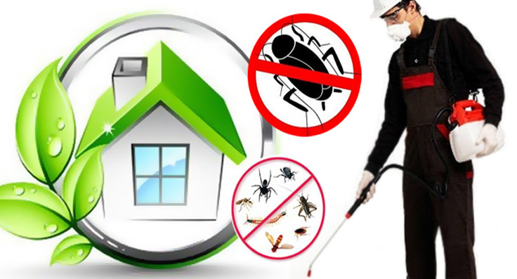 ΑΠΟΛΥΜΑΝΣΕΙΣ