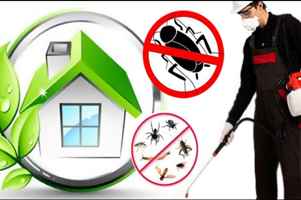 ΑΠΟΛΥΜΑΝΣΕΙΣ